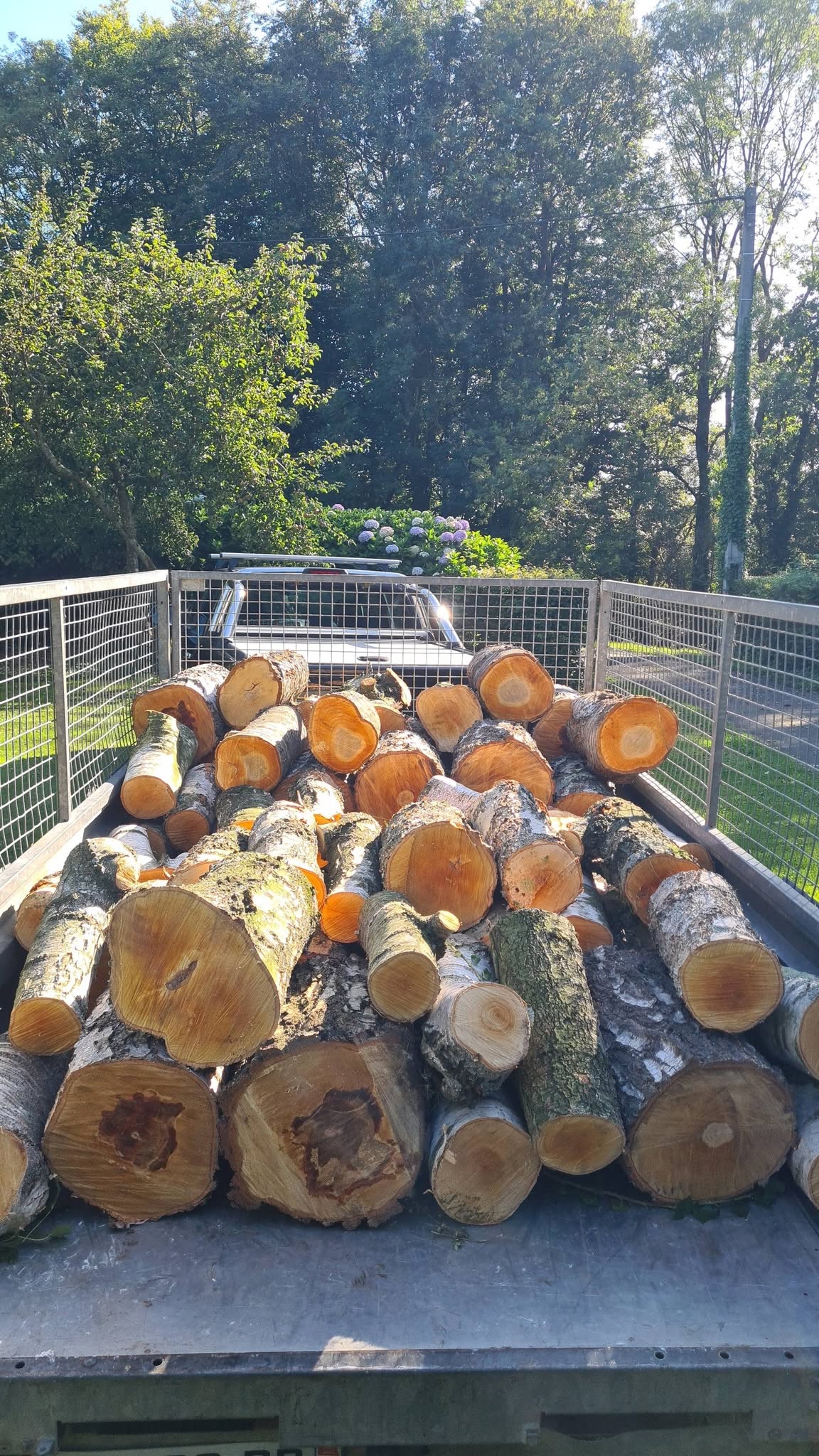 Bois de chauffage — façonnage & fendage — Vue 2 du chantier Ilan Paysages