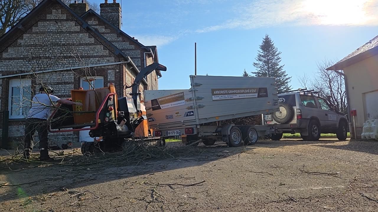 Bois de chauffage — façonnage & fendage — Vue 4 du chantier Ilan Paysages