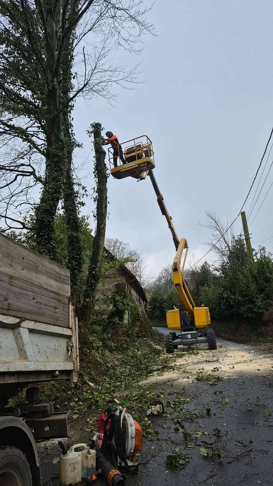 Élagage en bord de route à la nacelle — Vue 2 du chantier Ilan Paysages