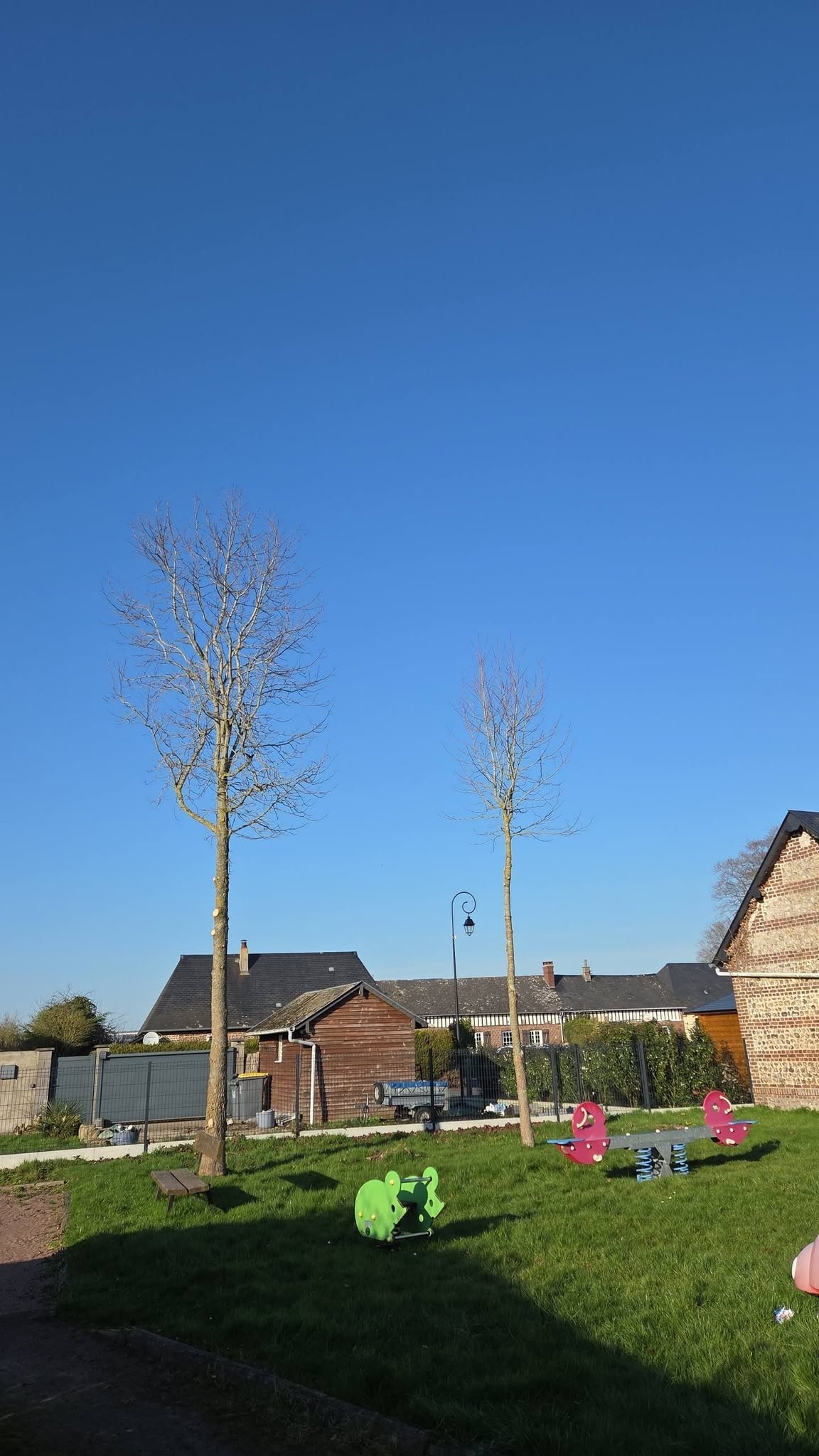 Arbres rehaussés dans un espace vert entretenu, avec aire de jeux au pied
