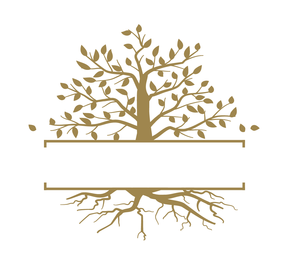 Logo Ilan Paysages