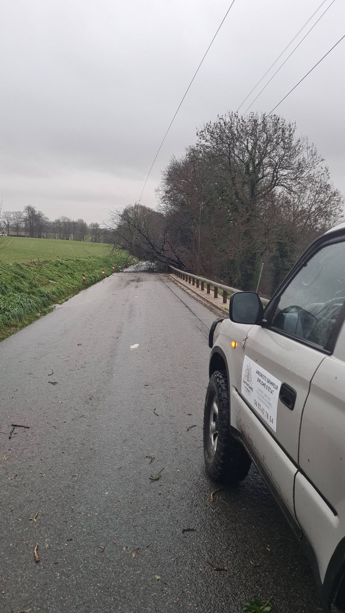 Intervention d'urgence après tempête — Vue 4 du chantier Ilan Paysages