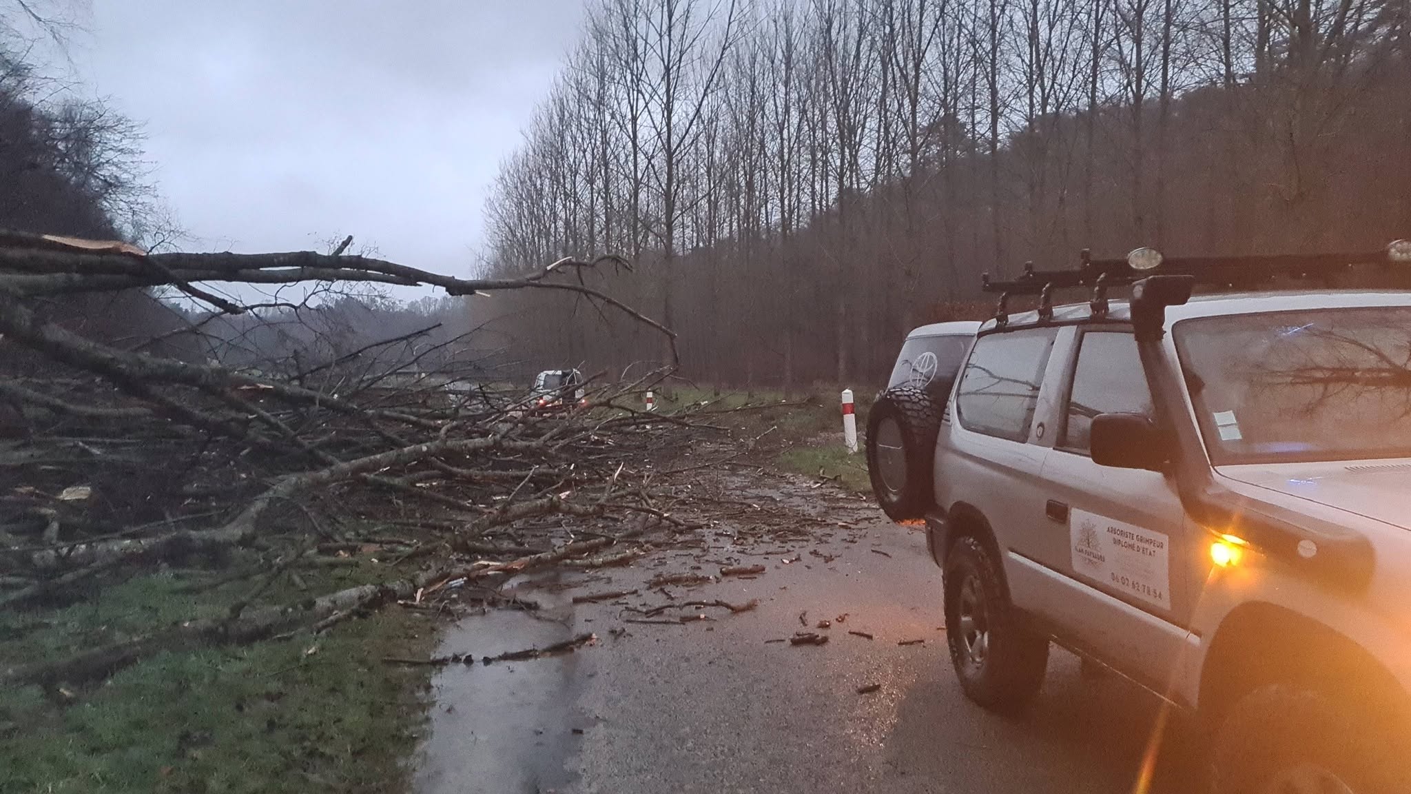 Intervention d'urgence après tempête — Vue 3 du chantier Ilan Paysages