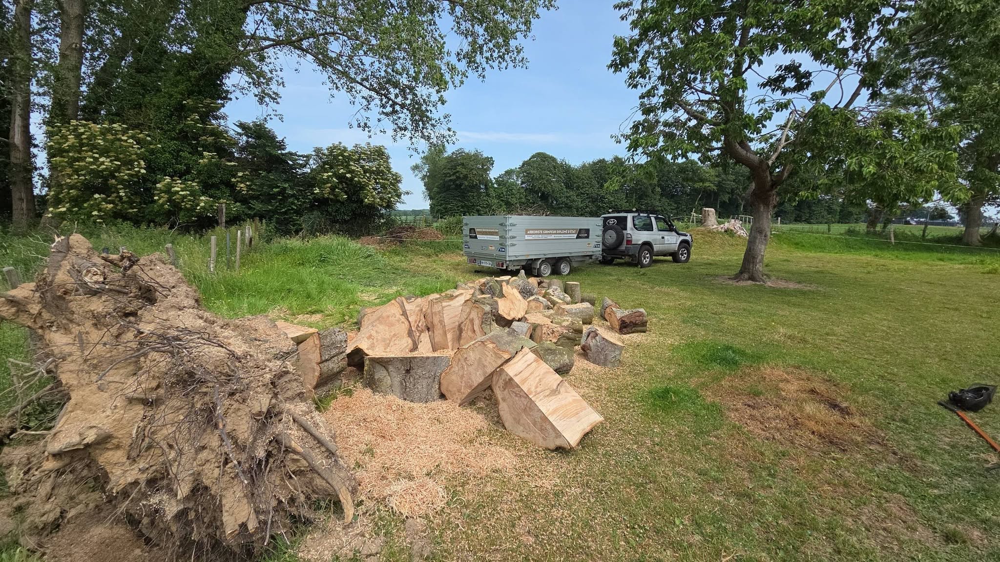 Chantier de bois de chauffage : billes fraîchement coupées et remorque dans une prairie